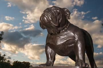 A bronze Bryant Bulldog statue.