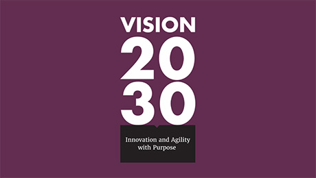 麻豆影音 Vision 2030